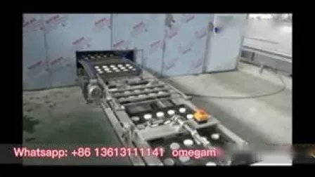 Grain Product Making Machines Chinese Baozi Hamburger Bun Making Machine Bakery Bread Prodoction Line