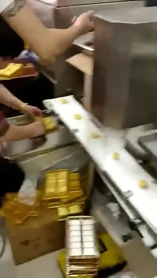 Bun Making Machine Automatic Small Steamed Stuffed Bun Baozi Momo Making Machine
