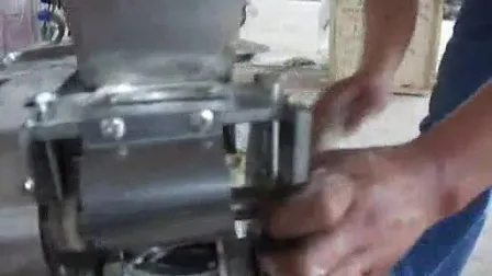 Commercial Samosa Spring Roll Wonton Dumpling Making Machine