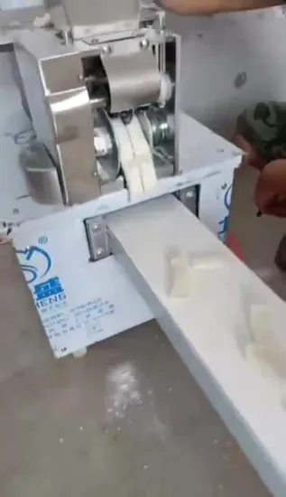 2022 Wonton Machine Lumpia Machine Spring Roll Machine