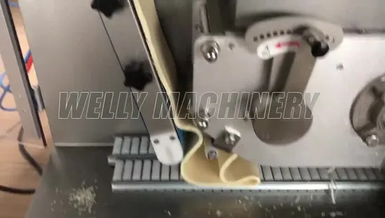 Easy Operation Wing Shape Dumpling Gold Fish Wonton Making Machine Price 