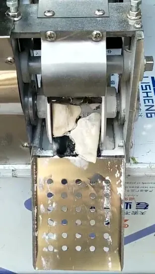 Automatic Chinese Dumpling Machine Wonton Dumpling Machine 