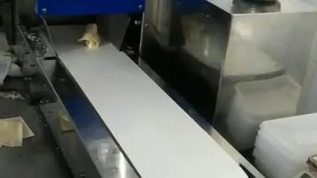 Factory Price Wonton Making Machine / Ravioli Making Machine 